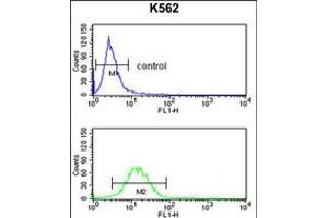 Flow cytometry analysis of K562 cells (bottom histogram) compared to a negative control cell (top histogram). (GPR50 Antikörper  (AA 316-344))