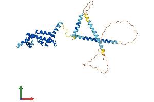 Protein Structure (PS) image for Coiled-Coil Domain Containing 104 (CCDC104) (AA 1-342) protein (His tag) (ABIN7553128)
