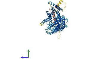 Protein Structure (PS) image for LMBR1 Domain Containing 1 (LMBRD1) (AA 1-537) protein (His tag) (ABIN7559427)