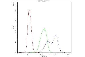 Flow Cytometry analysis of THP-1 cells using anti-BIK antibody (ABIN3043509). (BIK Antikörper  (AA 1-123))