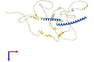 MYCN Protein (AA 1-464) (His tag)