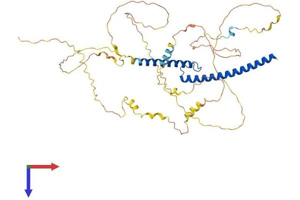 MYCN Protein (AA 1-464) (His tag)