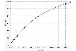 SLC40A1 ELISA Kit