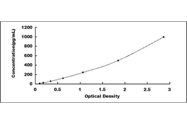 Interferon gamma ELISA Kit