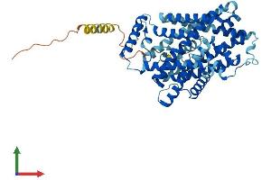 Protein Structure (PS) image for Solute Carrier Family 7 (Cationic Amino Acid Transporter, Y+ System), Member 5 (SLC7A5) (AA 1-507) protein (His tag) (ABIN7554408)