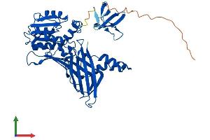 AlphaFold protein structure predicition of Human Recombinant PRMT2 Protein, UniprotID P55345