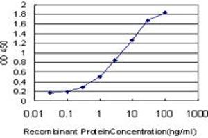 ELISA image for anti-Transient Receptor Potential Cation Channel, Subfamily V, Member 5 (TRPV5) (AA 1-100) antibody (ABIN566023)