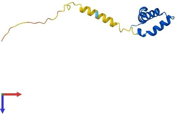 DPY30 Protein (AA 1-99) (His tag)