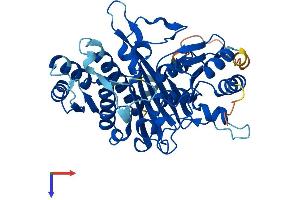 INPP1 Protein (AA 1-396) (His tag)