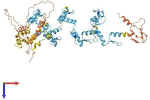 AlphaFold protein structure predicition of Human Recombinant ZNF284 Protein, UniprotID Q2VY69