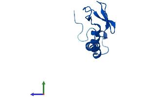 AlphaFold protein structure predicition of Human Recombinant RPL37AP8 Protein, UniprotID A6NKH3