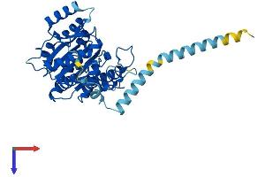B3GNT5 Protein (AA 1-376) (His tag)