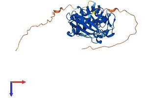 PIM3 Protein (AA 1-326) (His tag)