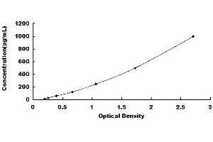 COL1A1 ELISA Kit