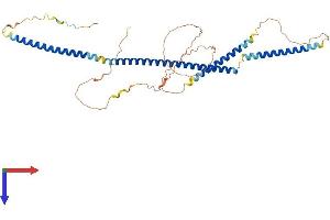 AZI2 Protein (AA 1-405) (His tag)