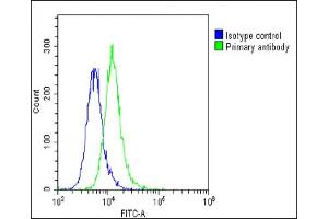 Overlay histogram showing A549 cells stained with C(green line). (MED14 Antikörper  (AA 586-615))