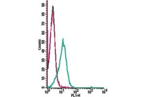 Cell surface detection of LPAR1 (EDG2) by indirect flow cytometry in live intact human Jurkat T-cell leukemia cells: + goat-anti-rabbit-FITC.