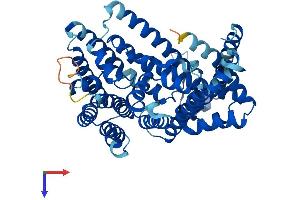 HHAT Protein (AA 1-499) (His tag)