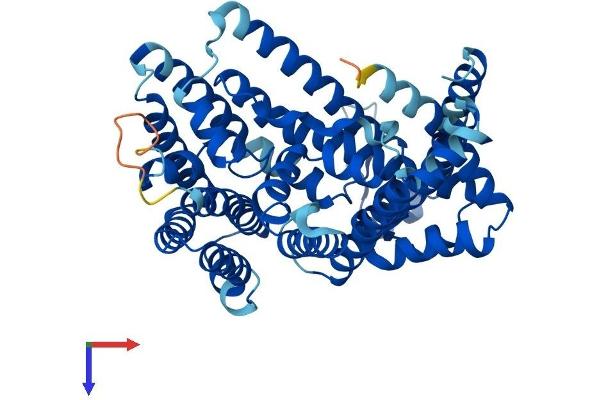HHAT Protein (AA 1-499) (His tag)