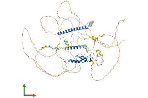 Protein Structure (PS) image for Ubiquitin Interaction Motif Containing 1 (UIMC1) (AA 1-719) protein (His tag) (ABIN7555964)