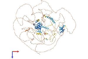 MIS18 Binding Protein 1 (MIS18BP1) (AA 1-1132) protein (His tag)