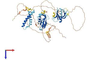 SH2B3 Protein (AA 1-548) (His tag)