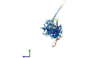 Protein Structure (PS) image for Ubiquitin Protein Ligase E3B (UBE3B) (AA 1-1070) protein (His tag) (ABIN7565058)