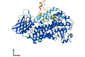 Protein Structure (PS) image for Arachidonate 12-Lipoxygenase, 12R Type (ALOX12B) (AA 1-701) protein (His tag) (ABIN7562579)