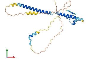 Protein Structure (PS) image for SWI5-Dependent Recombination Repair 1 (SFR1) (AA 1-245) protein (His tag) (ABIN7546117)