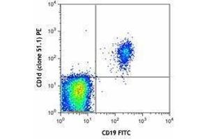 Flow Cytometry (FACS) image for anti-CD1d Molecule (CD1D) antibody (PE) (ABIN2662517) (CD1d Antikörper  (PE))