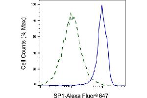 Validation of SP1 knockdown using flow cytometry. (SP1 Antikörper)