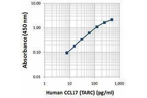 ELISA image for anti-Chemokine (C-C Motif) Ligand 17 (CCL17) antibody (Biotin) (ABIN2660891) (CCL17 Antikörper  (Biotin))