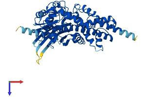 GCK Protein (AA 1-465) (His tag)