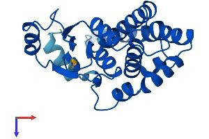 GSTA1 Protein (AA 1-223) (His tag)