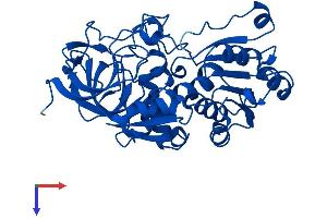 ADH4 Protein (AA 1-380) (His tag)
