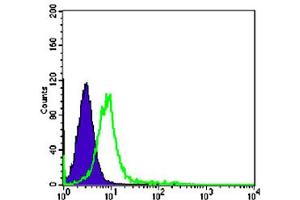 Flow cytometric analysis of K-562 cells using CHD3 monoclonal antibody, clone 2G4  (green) and negative control (purple).