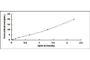 Typical standard curve (PLK2 ELISA Kit)