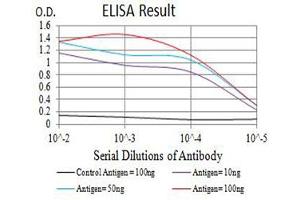 Black line: Control Antigen (100 ng),Purple line: Antigen (10 ng), Blue line: Antigen (50 ng), Red line:Antigen (100 ng) (BCL2L2 Antikörper  (AA 6-118))