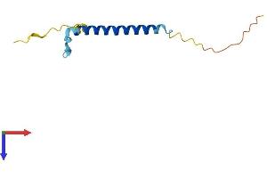 C19ORF53 Protein (AA 1-94) (His tag)