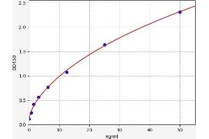 Typical standard curve (Peroxiredoxin 2 ELISA Kit)