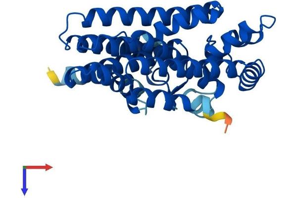 GGPS1 Protein (AA 1-300) (His tag)