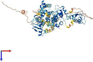 BIRC2 Protein (AA 1-612) (His tag)