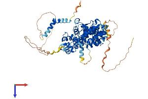 PPP2R3B Protein (AA 1-575) (His tag)