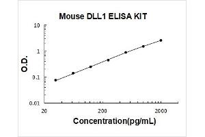 delta-Like 1 (DLL1) ELISA Kit