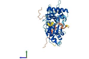 Protein Structure (PS) image for Actin-Related Protein 10 Homolog (ACTR10) (AA 1-417) protein (His tag) (ABIN7561820)