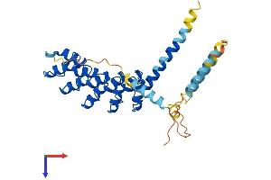 ANKRD1 Protein (AA 1-319) (His tag)