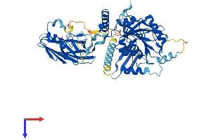 B4GALNT1 Protein (AA 1-533) (His tag)