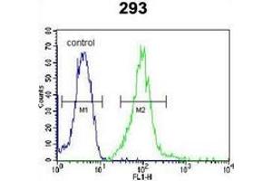 Flow Cytometry (FACS) image for anti-Interferon Regulatory Factor 2 Binding Protein 2 (IRF2BP2) (AA 344-374), (Middle Region) antibody (ABIN952948)