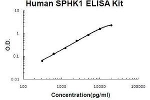 Human SPHK1 PicoKine ELISA Kit standard curve