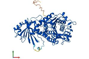 Protein Structure (PS) image for Aminopeptidase-Like 1 (NPEPL1) (AA 1-523) protein (His tag) (ABIN7550706)